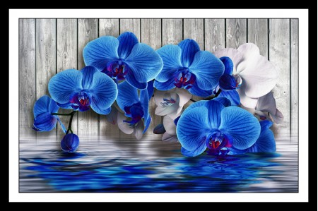 Репродукция 70х100 BS(210)